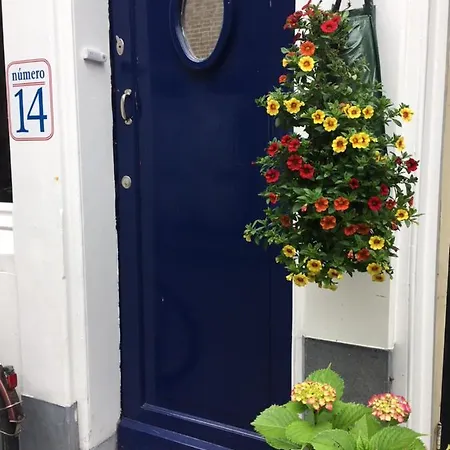 Numero 14 * Ámsterdam