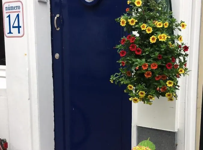 Numero 14 4* أمستردام