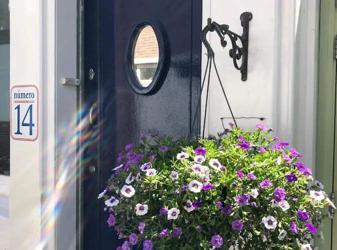 Numero 14 4* أمستردام